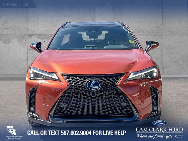 2024 Lexus UX 250h HYBRID* LEATHER* SUNROOF* NAVI in Cars & Trucks in Banff / Canmore - Image 2