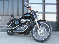 2005 Harley-Davidson XL 1200C Sportster 1200 Custom