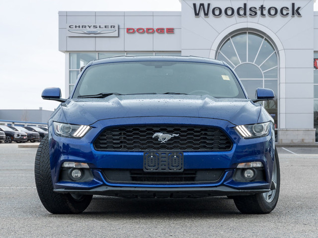 2015 Ford Mustang 6 SPEED | LOW KMS | FRESH TRADE | COME SEE ME  in Cars & Trucks in Woodstock - Image 2