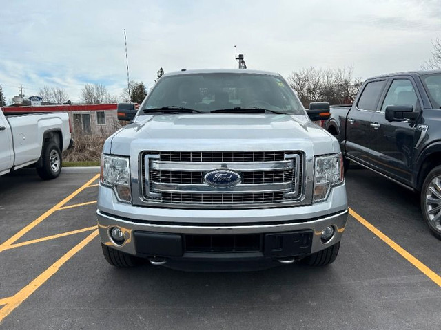  2014 Ford F-150 XLT *302A XTR, 3.5L Eco Boost, Tailgate Step* in Cars & Trucks in Kawartha Lakes - Image 2