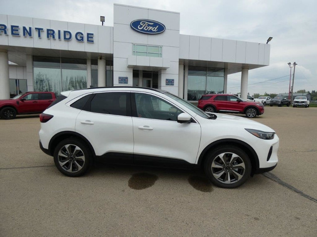 Platinum AWD in Cars & Trucks in Edmonton - Image 3