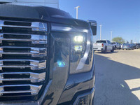 This 2025 ULTIMATE DENALI HD 3500 is the new benchmark for LUXURY. Fully equipped with every option... (image 9)
