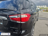 2022 Ford EcoSport Titanium Shadow Black Recent Arrival! 2.0L I4 Ti-VCT GDI 6-Speed Automatic 4WD -E... (image 8)