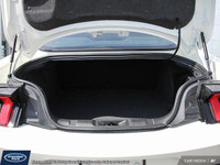 **WE WILL BEAT ANY FORD DEALER IN THE CITY** The 2025 Ford Mustang GT is the latest evolution of a p... (image 7)