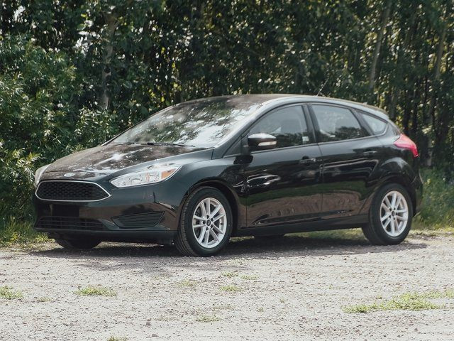 2017 Ford Focus SE in Cars & Trucks in Edmonton - Image 3