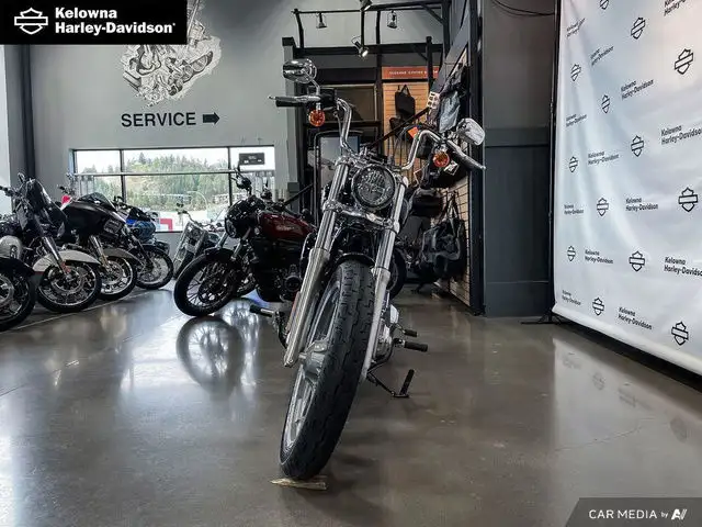 2024 Harley-Davidson FXST - Softail Standard in Street, Cruisers & Choppers in Kelowna - Image 3