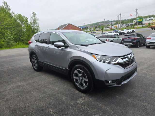 2019 Honda CR-V in Cars & Trucks in Bedford - Image 4