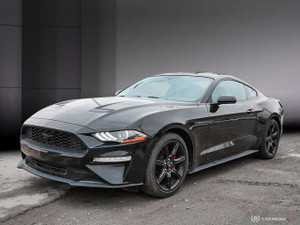 2019 Ford Mustang ECO-BOOST,AMBIENT LIGHTING, 9 SPEAKER SYSTEM, HEATED SEATS