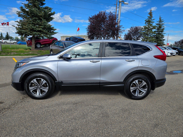 2019 Honda CR-V LX Clean Carfax | Apple CarPlay | Adaptive Cr... in Cars & Trucks in Calgary - Image 4