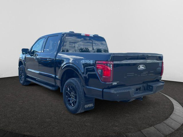 2025 Ford F-150 XLT in Cars & Trucks in Regina - Image 3