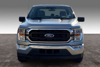 Legendary 5.0l This Truck Can Take Anything You Throw At It Or In It. 5.0 L 8 Cyl Engine Vehicle Opt... (image 2)