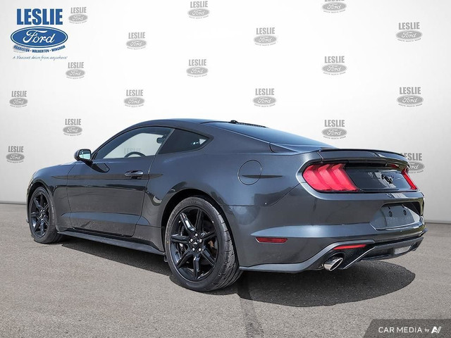 2019 Ford Mustang EcoBoost Fastback in Cars & Trucks in Stratford - Image 4