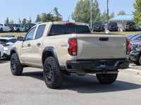 Come see this 2024 Chevrolet Colorado 4WD Trail Boss before someone takes it home! *You Can't Beat t... (image 4)
