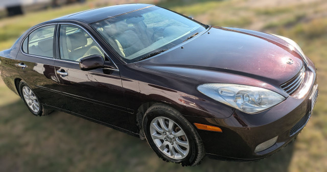 2003 Lexus ES 300 in Cars & Trucks in Lethbridge - Image 4