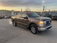 2021 Ford F-150 Gray Metallic 10-Speed Automatic 2.7L V6 EcoBoost At our Ford dealership, we take pr... (image 5)