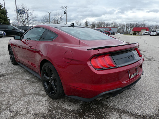 2021 Ford Mustang GT | Heated Seats | Backup Cam | Apple Car Pla in Cars & Trucks in Windsor Region - Image 3