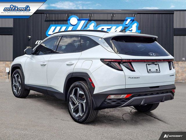 2024 Hyundai Tucson Hybrid Ultimate | Leather | Panoroof | Nav in Cars & Trucks in Guelph - Image 3