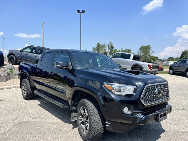 2019 Toyota Tacoma SR5 in Cars & Trucks in Kitchener / Waterloo - Image 2