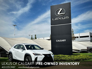 2020 Lexus UX Other
