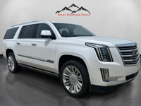 The 2016 Cadillac Escalade ESV Platinum in White combines robust 4×4 capabilities with luxurious dri... (image 6)