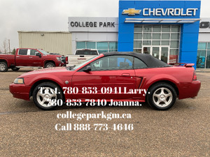 2004 Ford Mustang Other