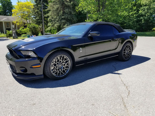 2014 Ford Mustang Shelby GT500 - 5.8L Muscle!!! Crazy Drop Top!! dans Autos et camions  à Région des lacs Kawartha