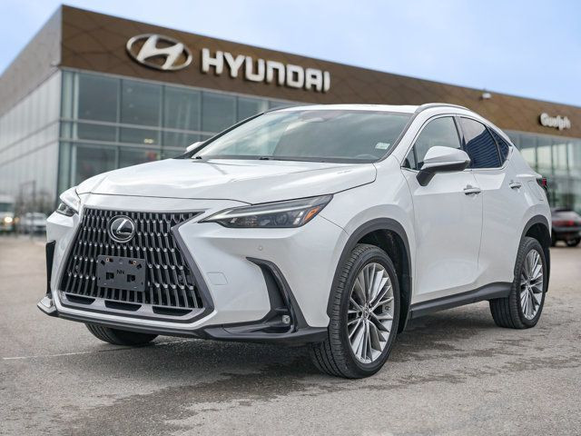 2022 Lexus NX 350 AWD | Red Leather | Sunroof | Cooled Seats |S in Cars & Trucks in Guelph - Image 3