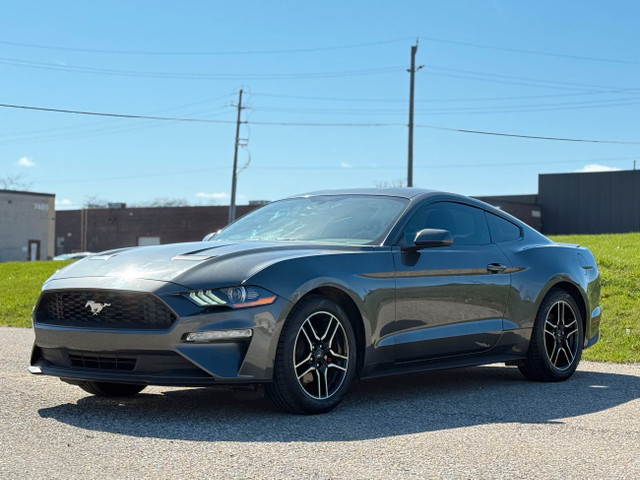 2020 Ford Mustang EcoBoost Fastback in Cars & Trucks in Mississauga / Peel Region - Image 3