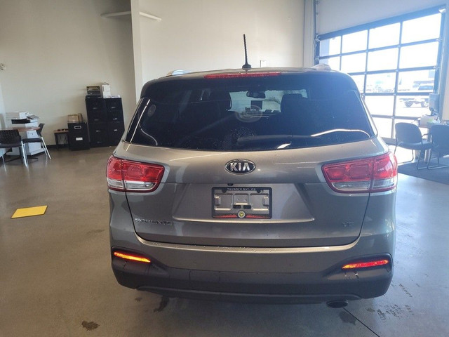 2016 Kia Sorento in Cars & Trucks in Thunder Bay - Image 4