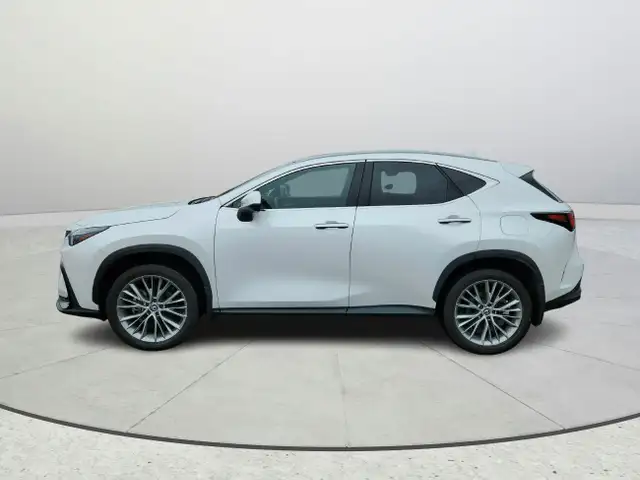2024 Lexus NX 350h Accident Free Hybrid Luxury Package Financing in Cars & Trucks in Ottawa - Image 3