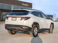 *Leather Seats, Panoramic Sunroof, Heated Steering Wheel, Heated Seats, Lane Follow Assist, Apple Ca... (image 5)