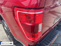 2021 Ford F-150 XLT 4X4 Red GROUP 302A FORD CO-PILOT 360 ASSIST 3.55 RATIO REGULAR AXLE NAVIGATION T... (image 8)
