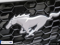 The Humberview Group: 5000 Vehicles. 20 Stores. 18 Brands. 1 Promise: Serving you better each and ev... (image 7)