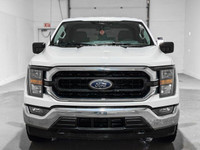 Recent Arrival! 10-Speed Automatic 4WD 3.5L V6 EcoBoost Apple CarPlay/Android Auto, 7 Speakers, 8-Wa... (image 8)