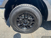 - ONE OWNER - 5.0L V8 ENGINE - CLOTH SEATS - TRAILER TOW PKG - PRE-COLLISION ASSIST w/AEB - BACK UP... (image 9)