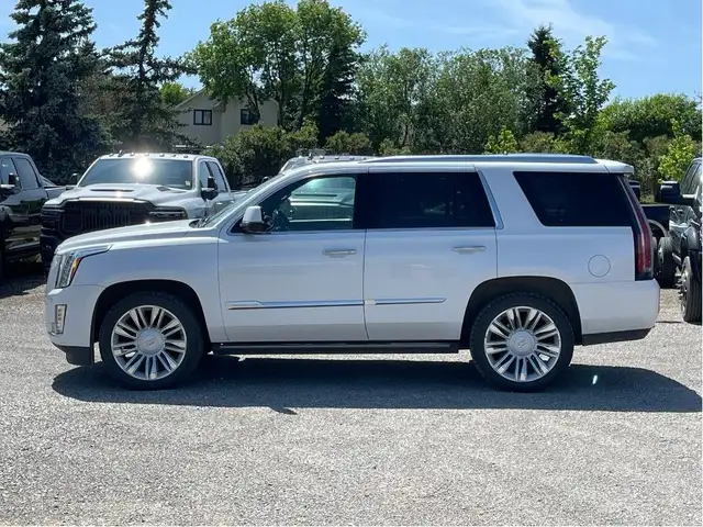 2016 Cadillac Escalade Platinum Edition in Cars & Trucks in Calgary - Image 3