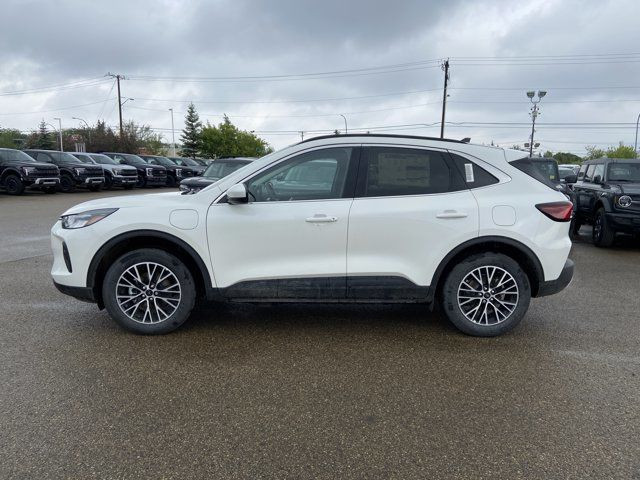 2025 Ford Escape PHEV in Cars & Trucks in Edmonton - Image 3