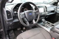 NO ACCIDENT Introducing The 2019 Ford F-150 XLT Sport 4WD SuperCrew With Its 3.5L PowerBoost V6 Engi... (image 8)
