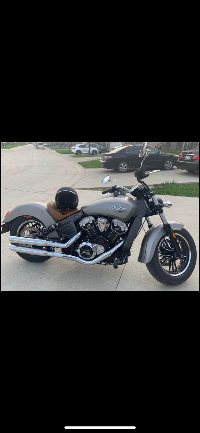 2017 INDIAN SCOUT (FINANCING AVAILABLE) in Street, Cruisers & Choppers in Winnipeg - Image 2
