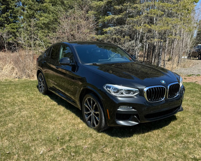 2019 BMW X4 30i