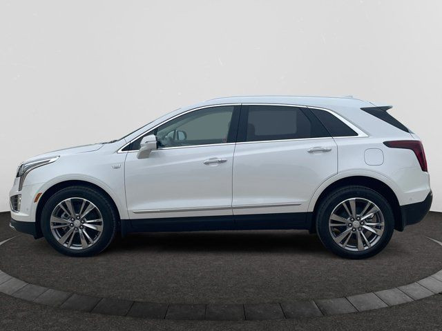 2025 Cadillac XT5 AWD Premium Luxury in Cars & Trucks in Regina - Image 2