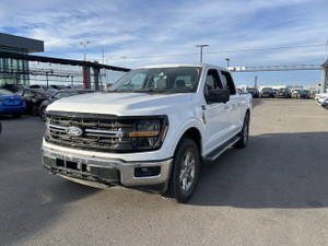 2024 Ford F 150 XLT | 3.5L ECOBOOST | CLOTH | CREW CAB | HAIL SAVINGS |