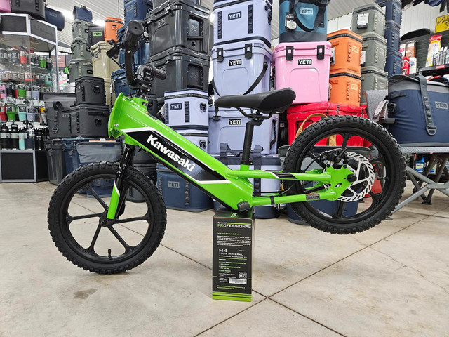 2024 Kawasaki ELEKTRODE Electric Balance Bike in Other in Truro