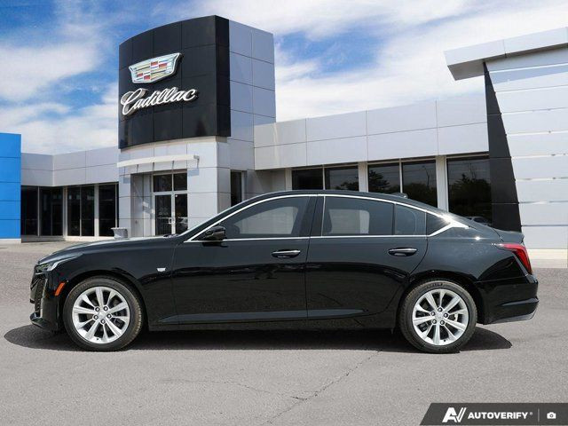 2024 Cadillac CT5 Premium Luxury | Sunroof | Super Cruise in Cars & Trucks in Windsor Region - Image 3