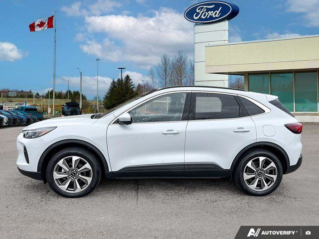 2025 Ford Escape Platinum in Cars & Trucks in Kitchener / Waterloo - Image 4