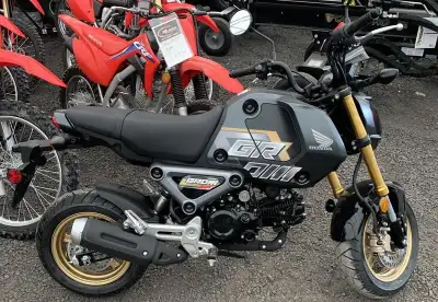 2024 Honda Grom - FINANCING AVAILABLE - DELIVERY AVAILABLE - TRADES WANTED -CALL FOR AVAILABILITY -$...