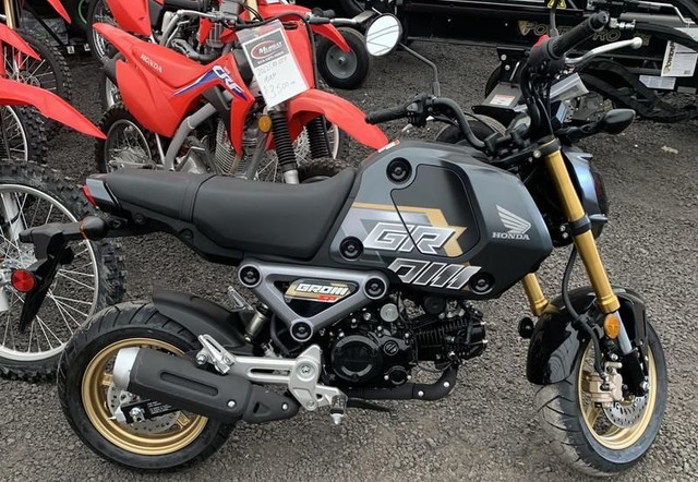 2024 Honda Grom in Scooters & Pocket Bikes in Ottawa