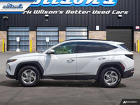 Check out this certified 2024 Hyundai Tucson Trend AWD | Leather | Panoramic Sunroof | Nav | Power S... (image 1)