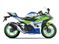 2024 Kawasaki Ninja 500 SE 40Th Anniversary Edition