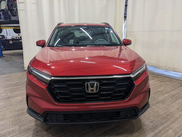 2024 Honda CR-V Sport No Accidents in Cars & Trucks in Calgary - Image 2